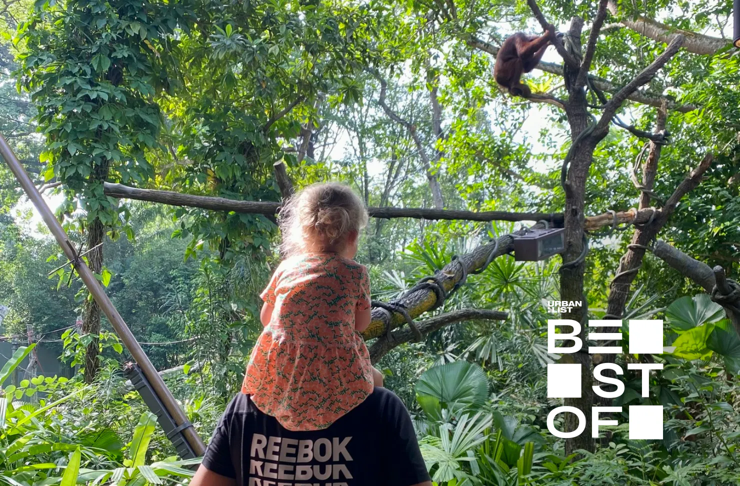 The Singapore Zoo with babies and toddlers