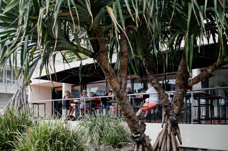 a cafe shaded by leafy trees