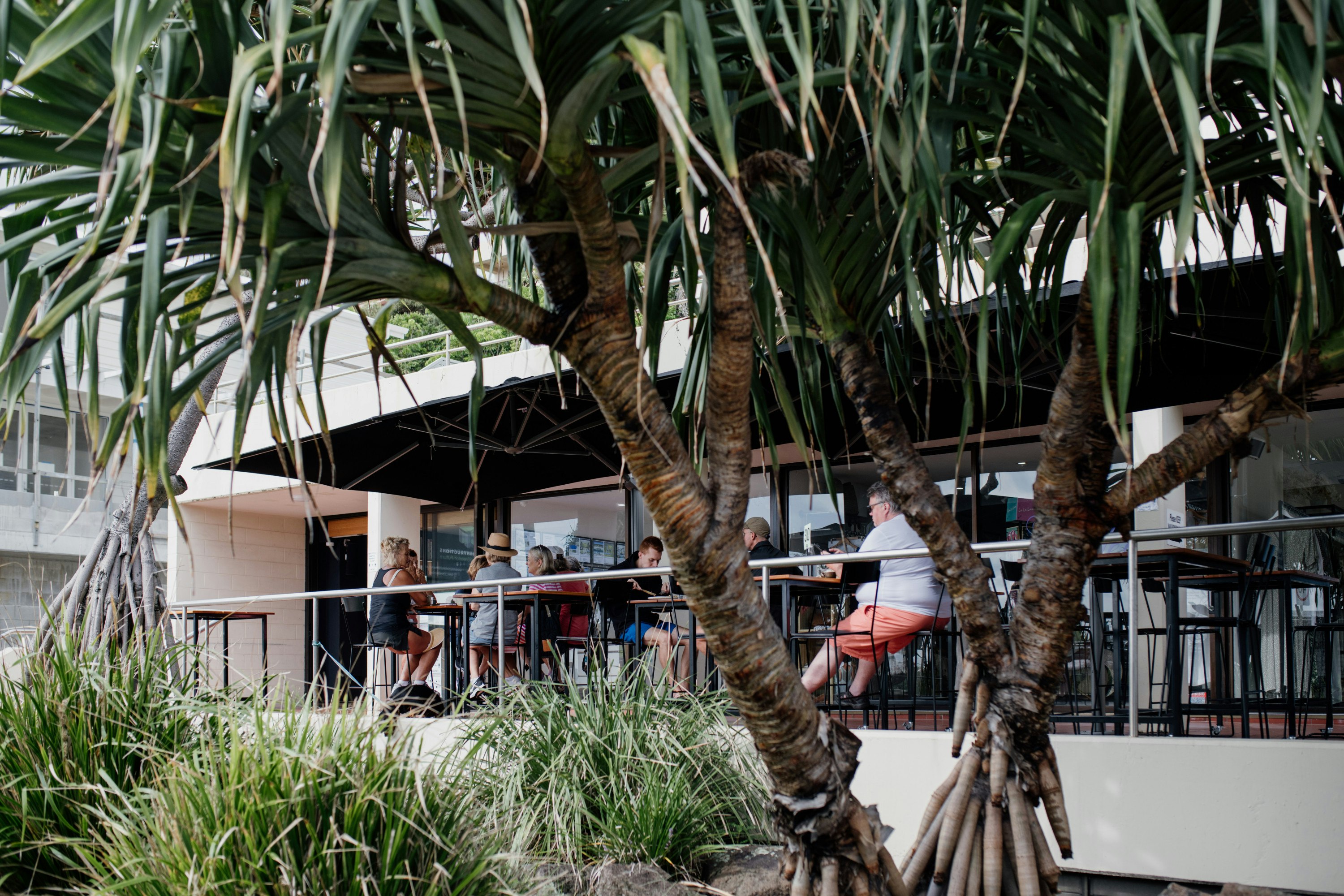 a cafe shaded by leafy trees