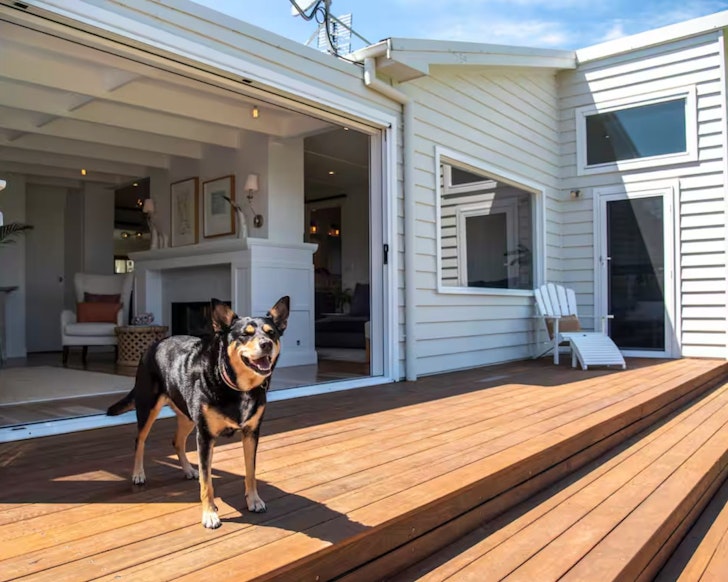 A dog on the deck at Barefoot Beach House Airbnb, one of the best pet-friendly stays near Sydney