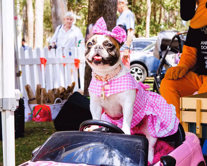 barktoberfest