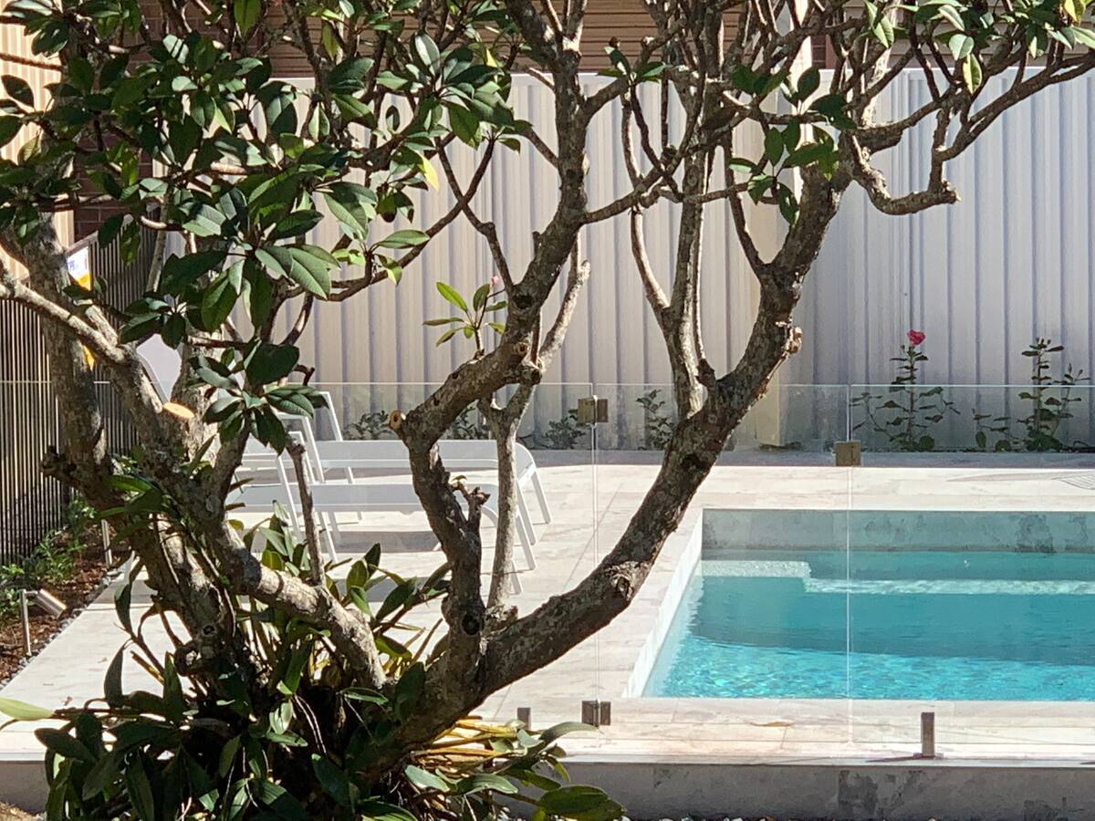 a pool seen through tree branches