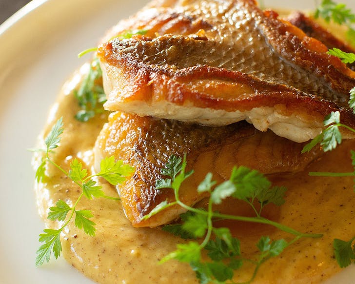 A delicious looking fish dish from Beau Wine Bar looks resplendent on the plate. No wonder they're one of the best restaurants in Ponsonby.