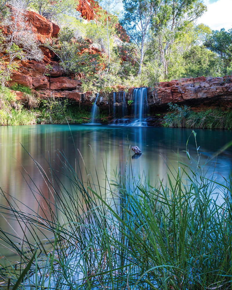 Fern Pool Tourism Western Australia