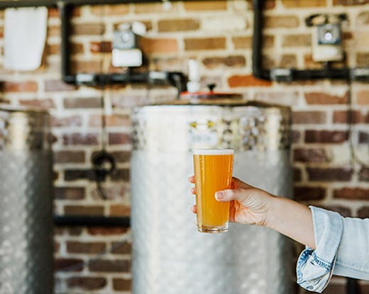 sunshine-coast-beer-tours