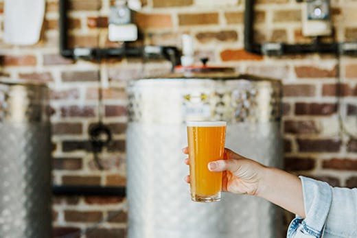 sunshine-coast-beer-tours