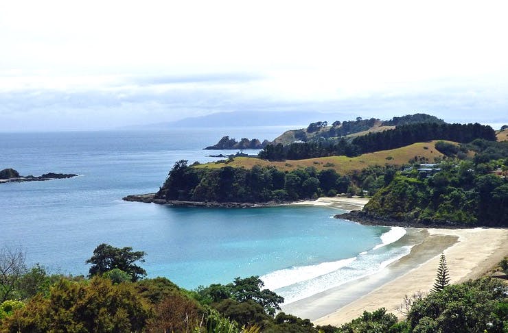 Auckland's Best Beach Day Trips