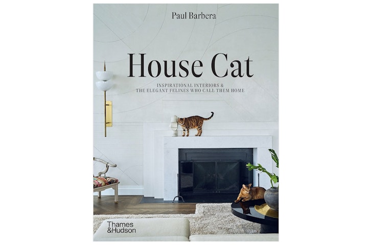 Brumby Sunstate: House Cat, one of the best homewares gifts
