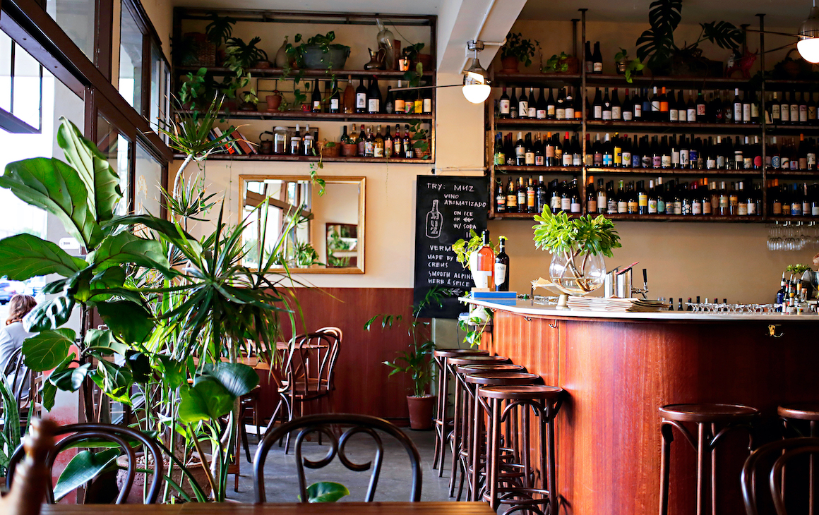 the plant-filled bar at Madalena's