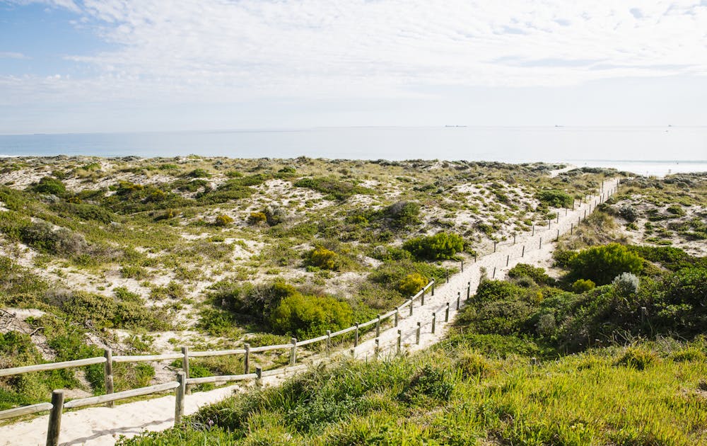 Take It Easy, Here Are Perth's Best Short Walks Under 4KM URBAN LIST