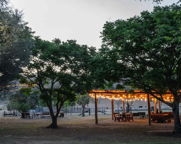 Fairylights and trees outside the Rural Hideaway country retreat