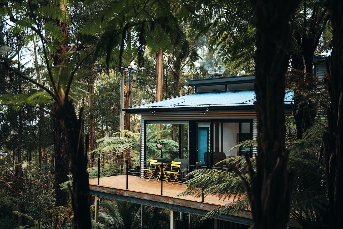 A house tucked into the trees, one of the best pet-friendly Airbnbs in Victoria.