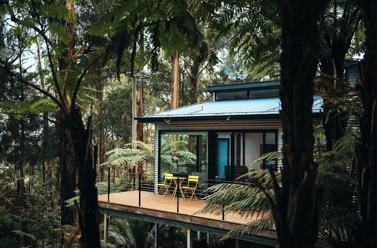 A house surrounded by forest, one of the best airbnbs in Victoria. 