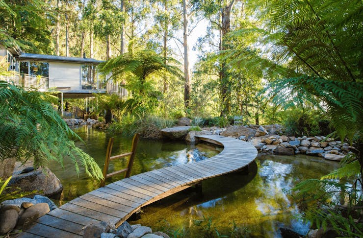 A boardwalk over a natural forest pool with a house in the background.