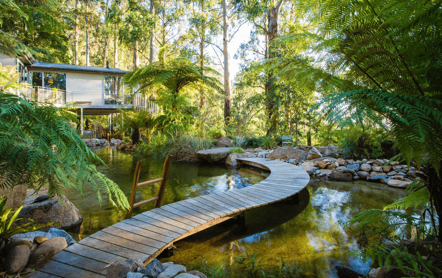 A boardwalk over a natural forest pool with a house in the background.