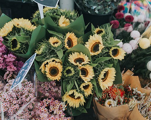Currumbin Community Markets, Gold Coast Markets, Farmers Market