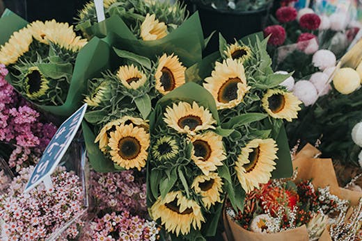 Currumbin Community Markets, Gold Coast Markets, Farmers Market