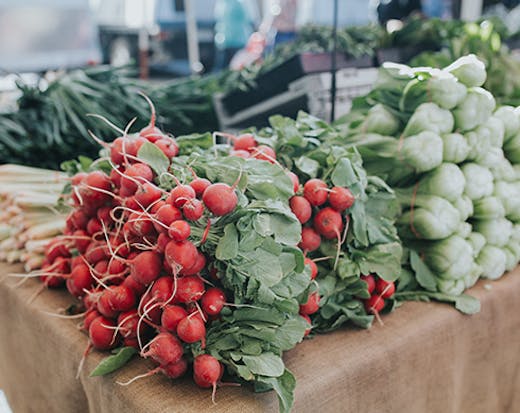 Gold Coast Organic Farmers Market Miami