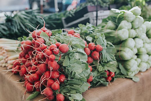 Gold Coast Organic Farmers Market Miami