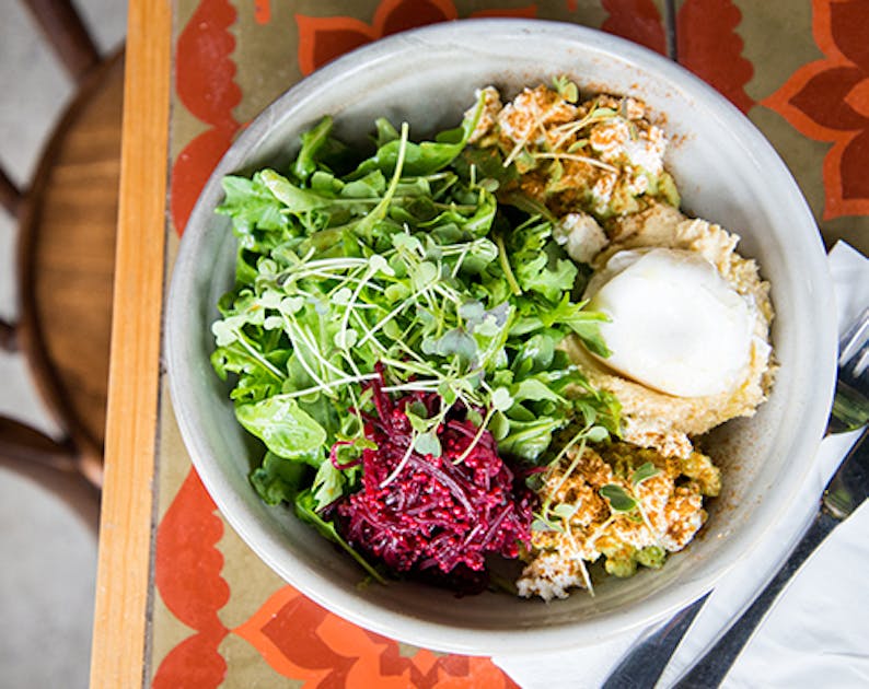 Terrarium Maudsland URBAN LIST GOLD COAST