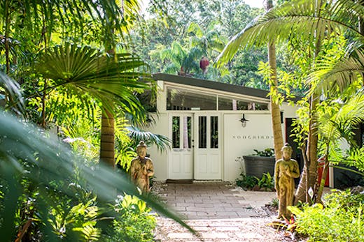 Songbirds Rainforest Retreat Mount Tamborine