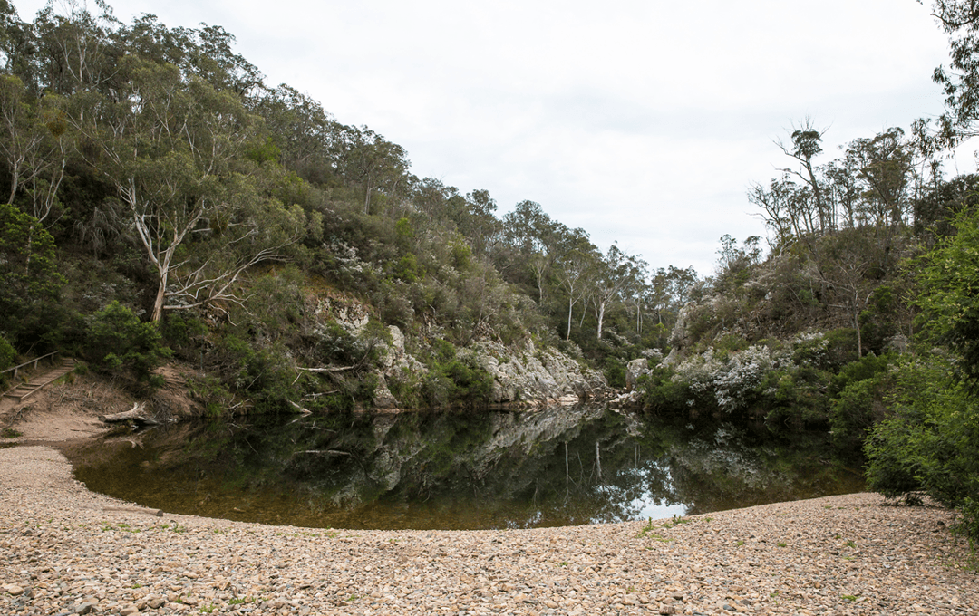 ocean lakes family campground