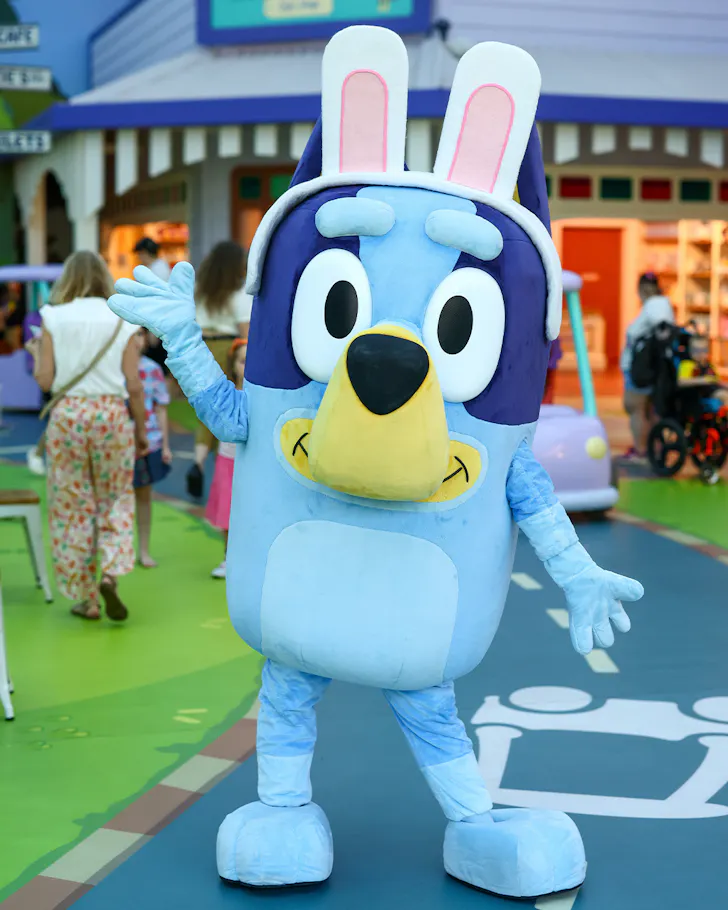 bluey's world
