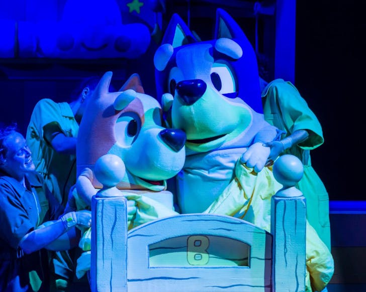 Bluey and Bingo in Bluey's Big Play