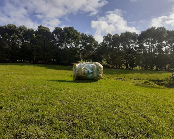 A giant head lays in a field at the Brick Bay Sculpture Trail. 