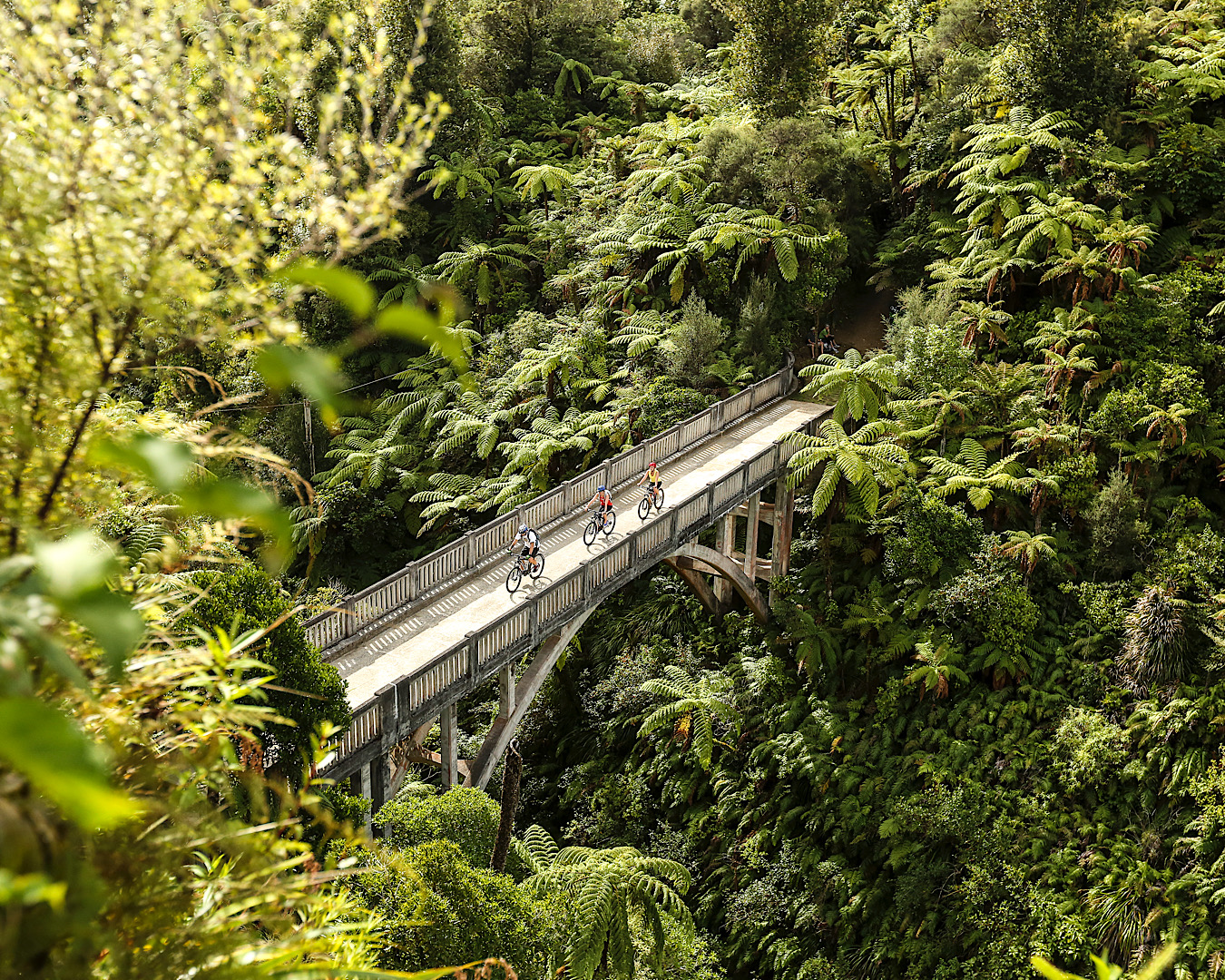People doing the Whanganui Journey Great Walk take a side trip to walk along the Bridge to Nowhere. 