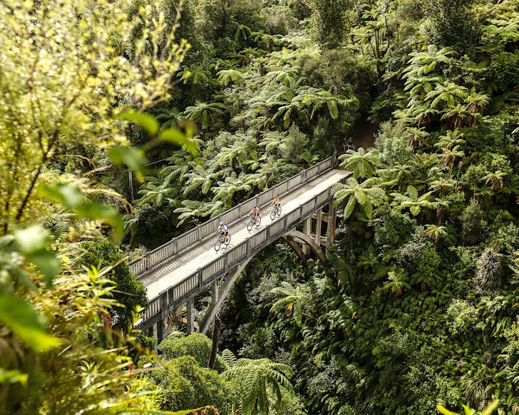 People doing the Whanganui Journey Great Walk take a side trip to walk along the Bridge to Nowhere. 