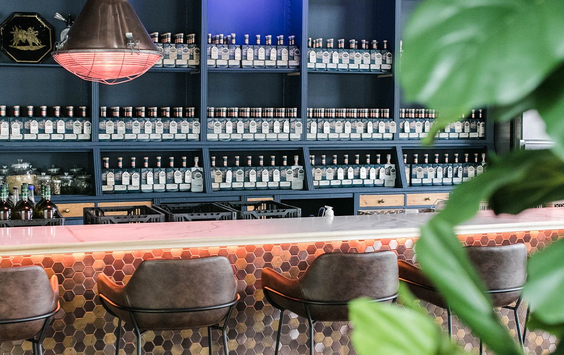 the bar with shelves lined with bottles