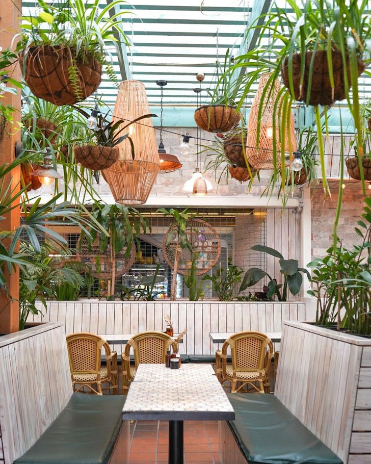 greenery in a cafe