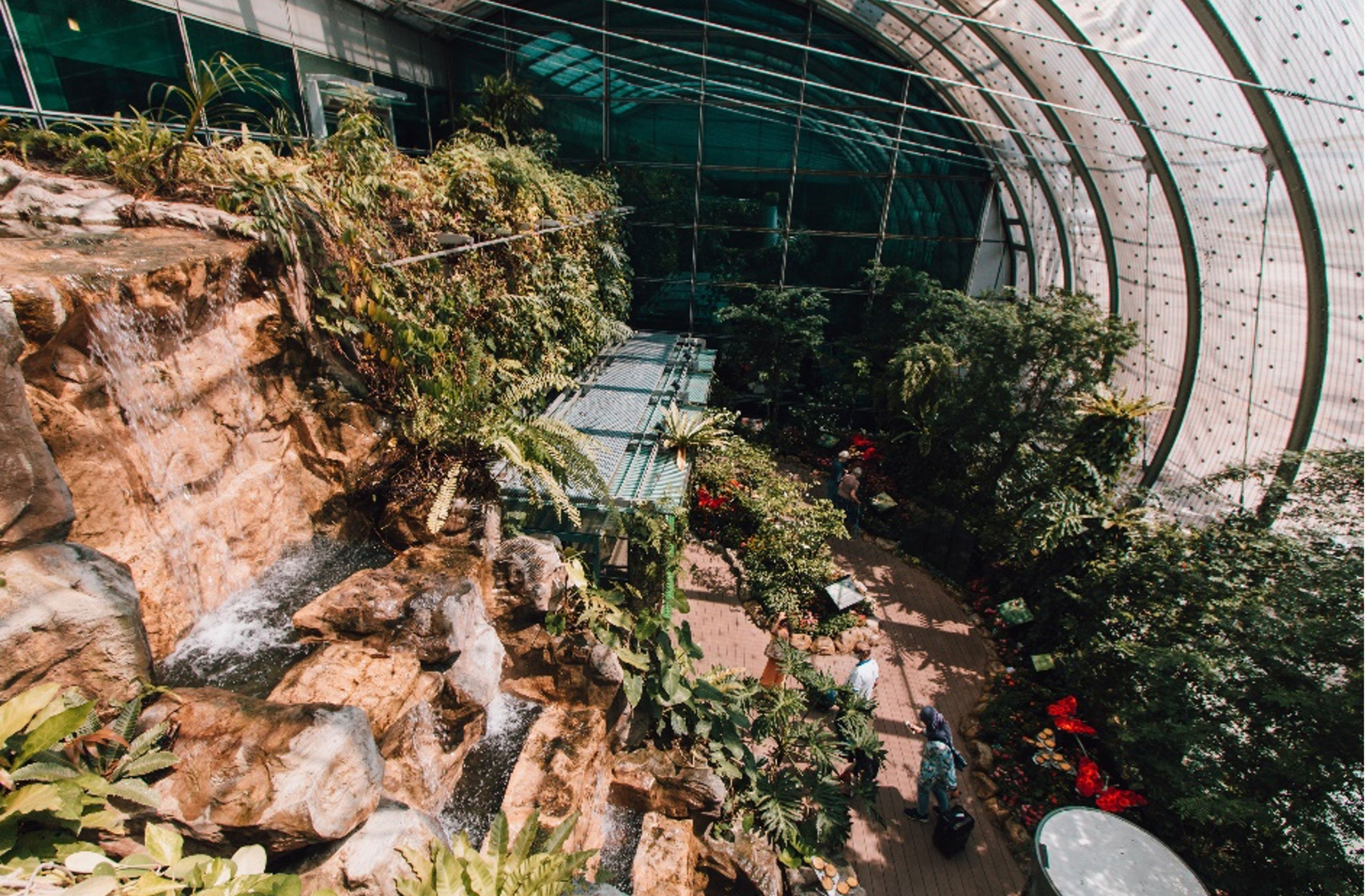 Butterfly Garden in Changi Airport Singapore