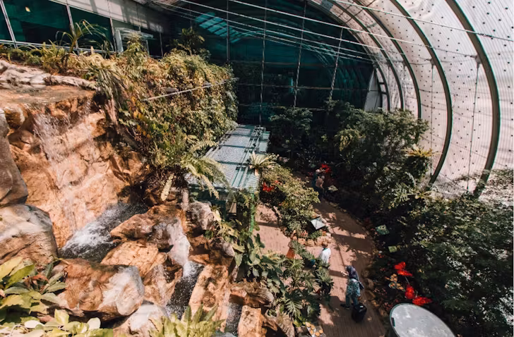 Butterfly Garden in Changi Airport Singapore