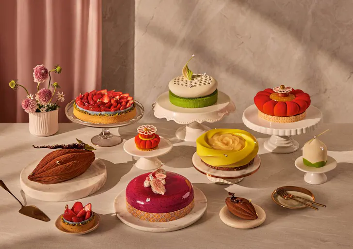 Frasers House new cake collection