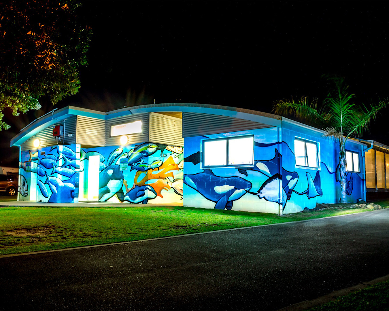 A stunning aquatic mural of orca whales and other sea creatures on a building at Camp Waipu Cove. 