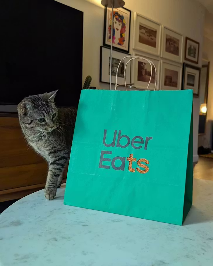 Cat with a green uber eats bag (@ubereats)
