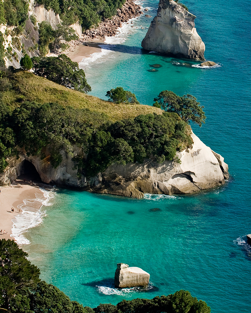 Cathedral Cove looks resplendent with white sand beach and blue seas. Definitely one of the best things to do in The Coromandel.