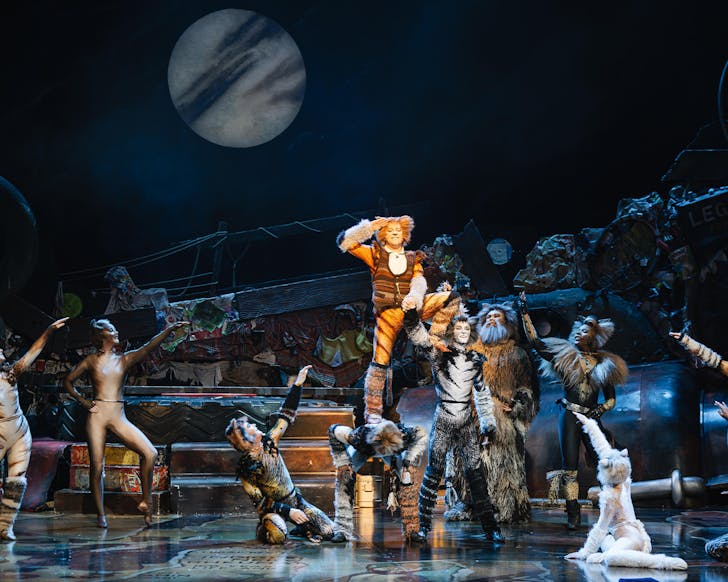 cats the musical
