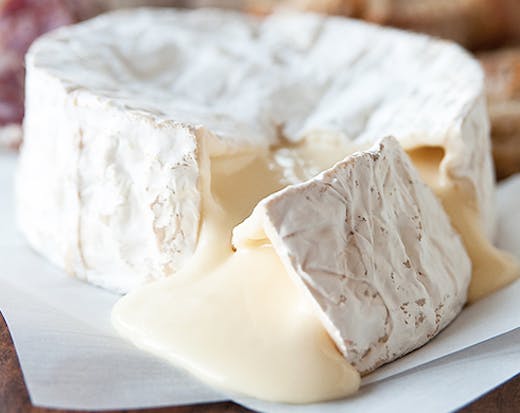 cheese-therapy-sunshine-coast