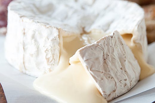 cheese-therapy-sunshine-coast