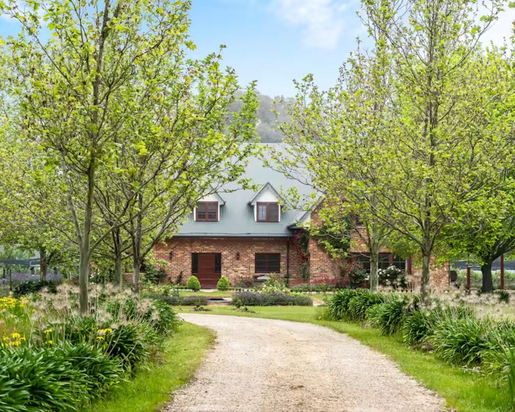 A view up the driveway to Chesterdale one of the best Airbnbs near Adelaide surrounded by trees