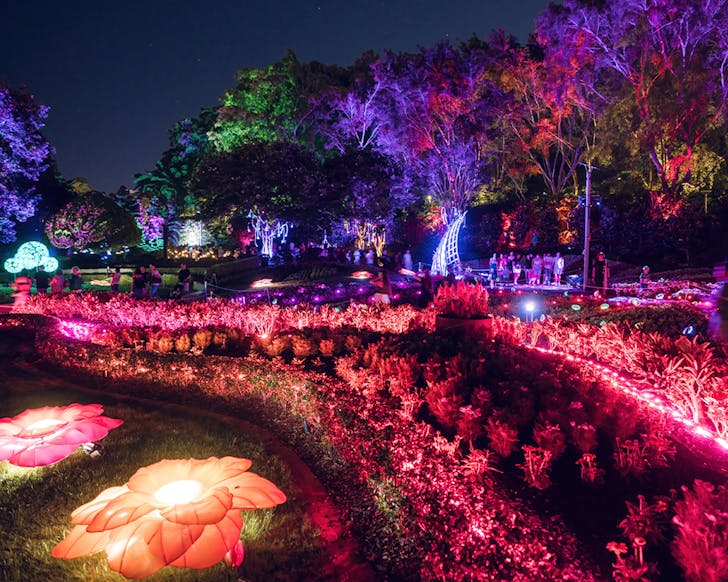 the enchanted garden