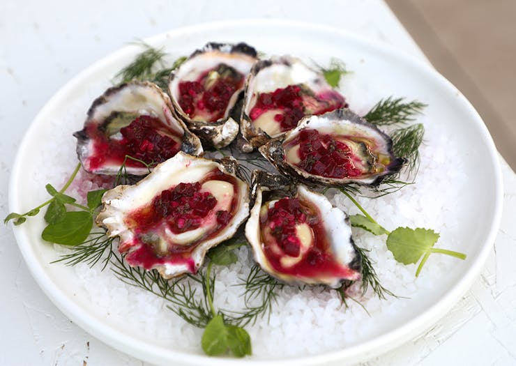 a plate of oysters topped with a beetroot jam