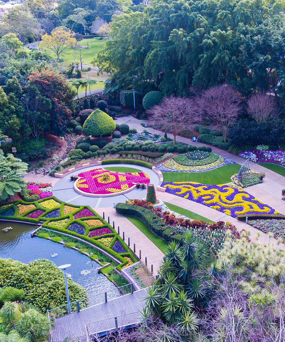An aerial shot of vibrant flower gardens at Roma Street Parkland