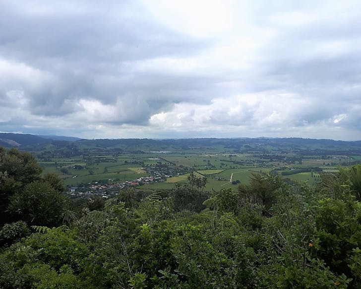 Clevedon scenic reserve stretches away under a moody sky.