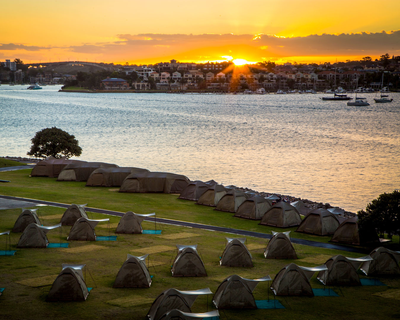Tents on Cockatoo Island at sunset