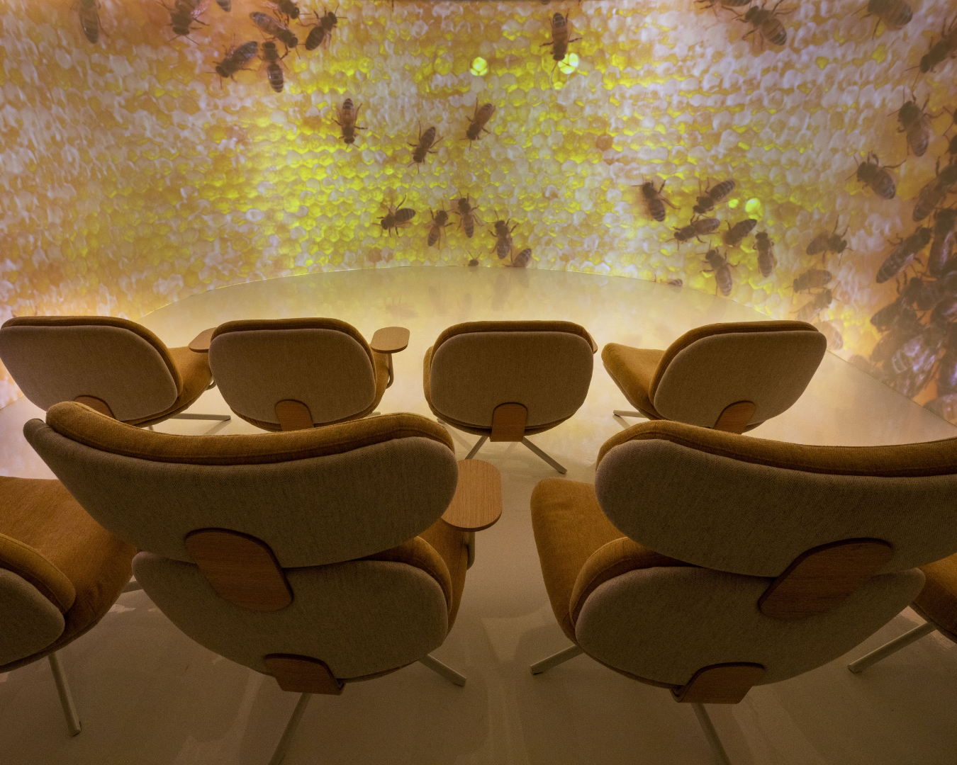 A 180 degree theatre displaying the insides of a hive