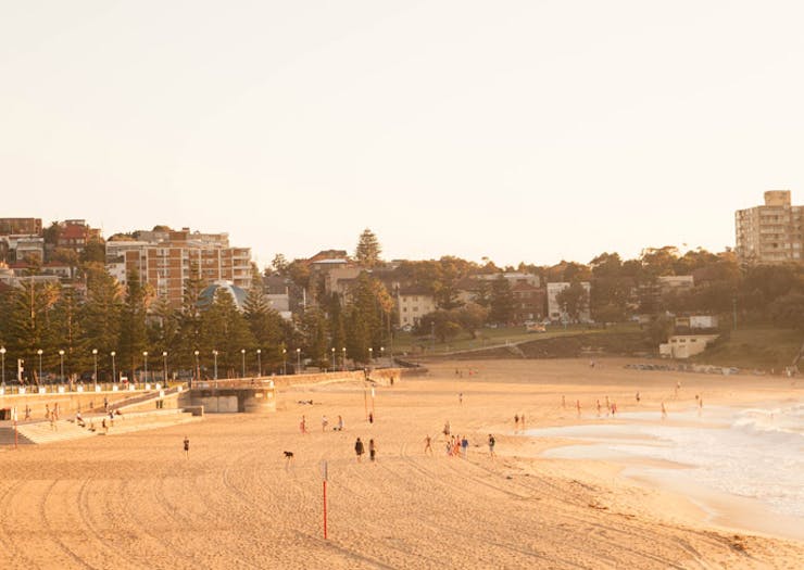 things to do in coogee